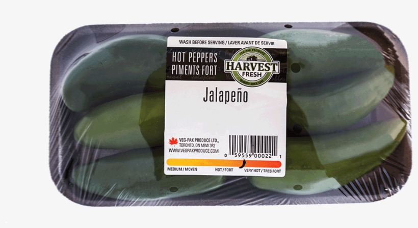 Leek, transparent png download