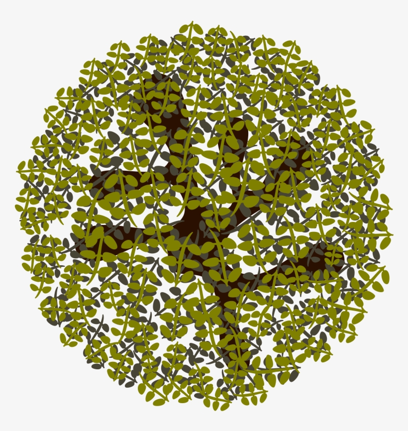 This Png File Is About Landscaping , Tree , Nature - Illustration, transparent png download