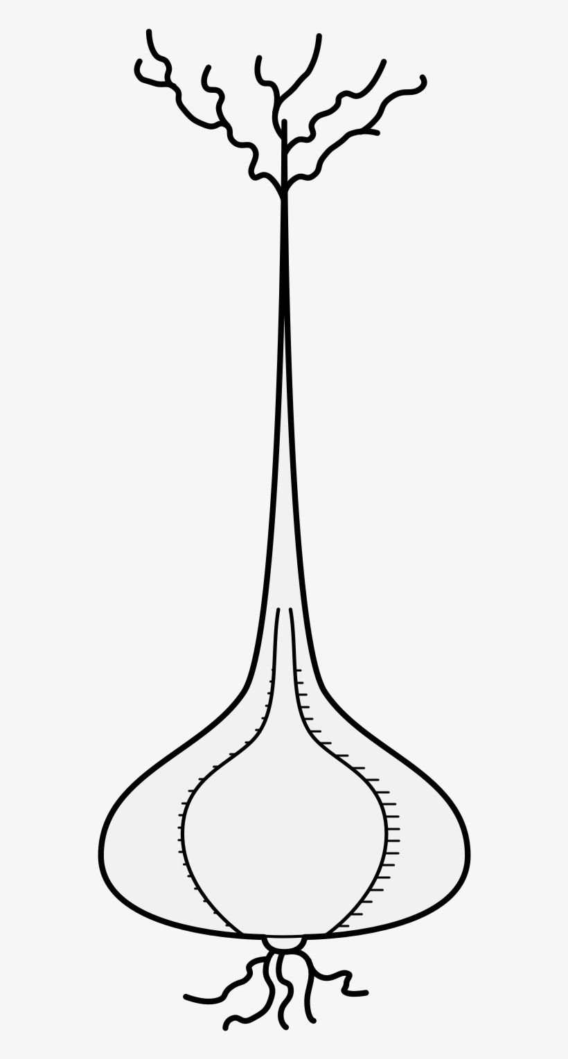 Details, Png - Line Art, transparent png download