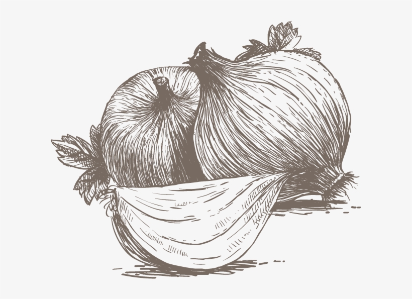 Spice, transparent png download