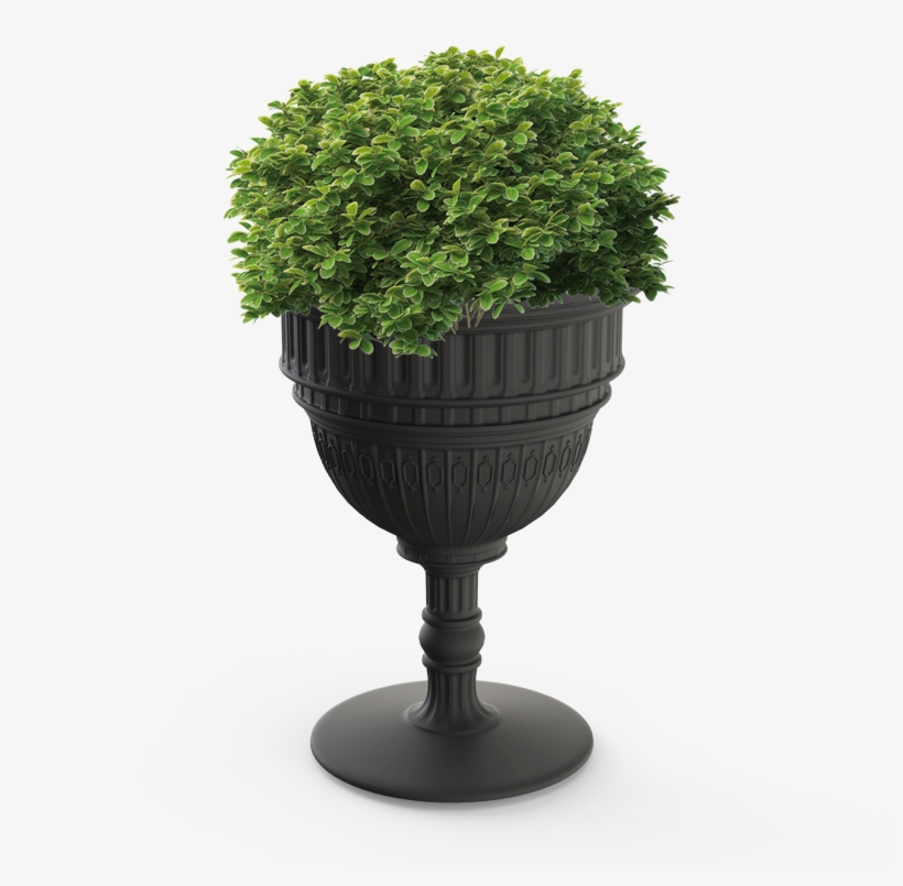 02 Qeeboo Capitol Planter Champagne Cooler By Studio - Flowerpot, transparent png download