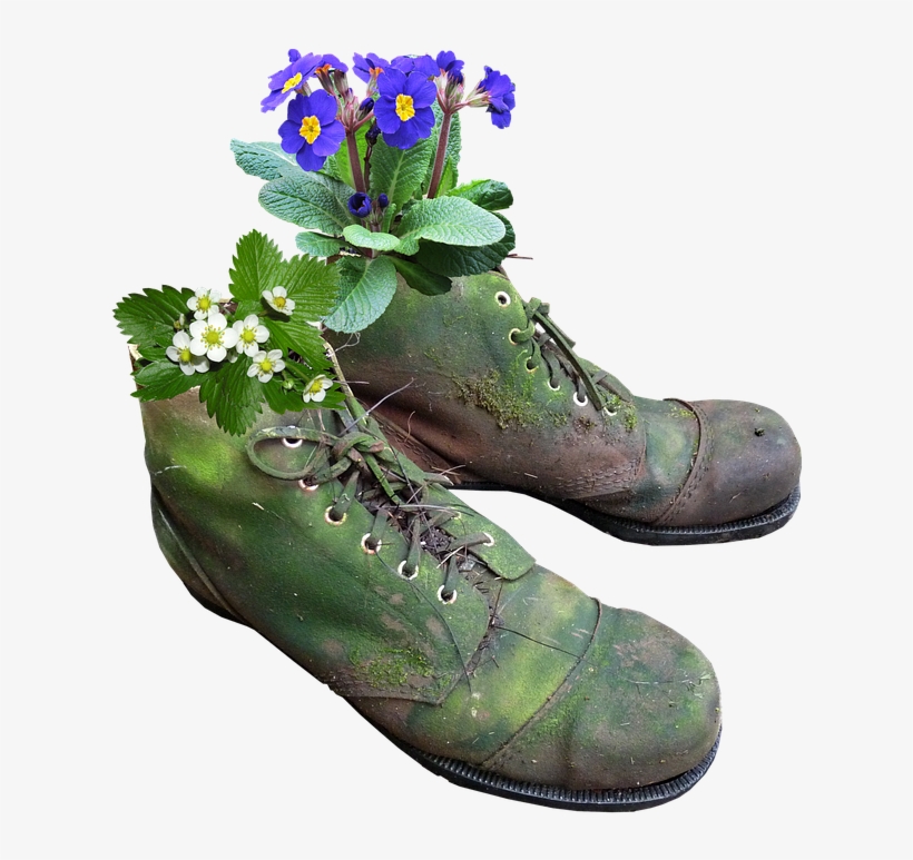 Planter, Flowers, Old Boots, Moss - Hanging Hiking Boots Graphics, transparent png download