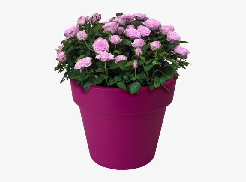 Home > Collection > Green Basics Top Planter - Flowerpot, transparent png download