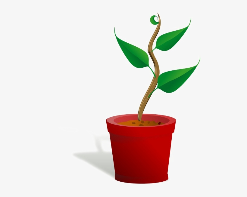 Growing Plant Png Free Download - Getting To Know Plants, transparent png download