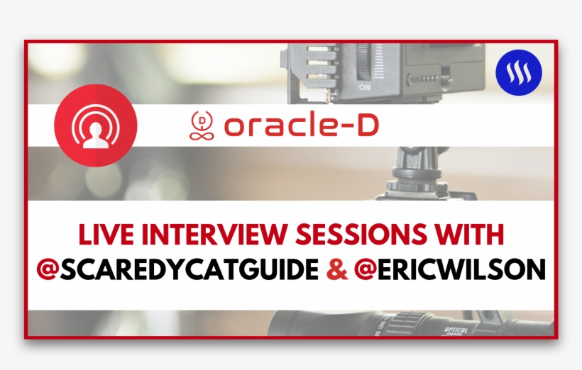 Interview - Native Shoes, transparent png download