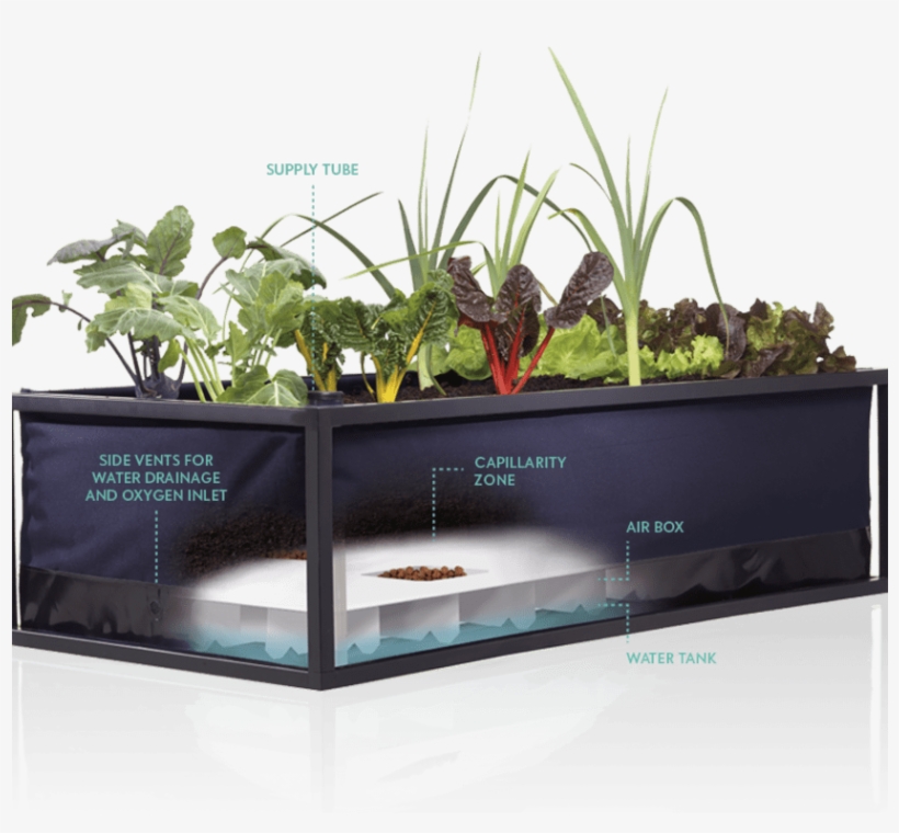 Prev - Urban Agriculture, transparent png download