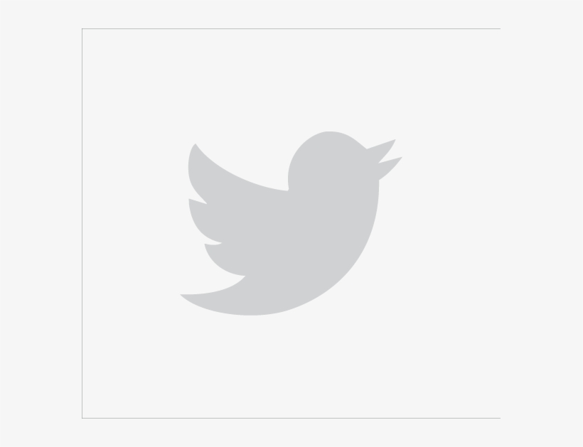 Insta Twitter Icon White Transparent Png Image Transparent Png Free Download On Seekpng