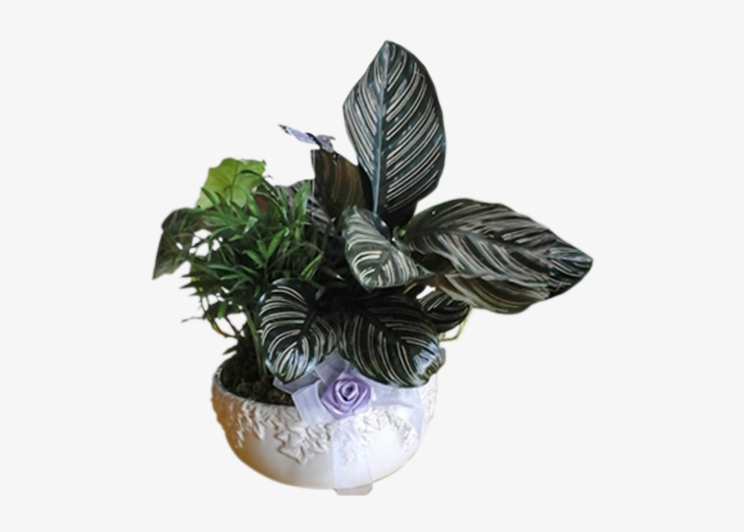 Planter - Flowerpot, transparent png download