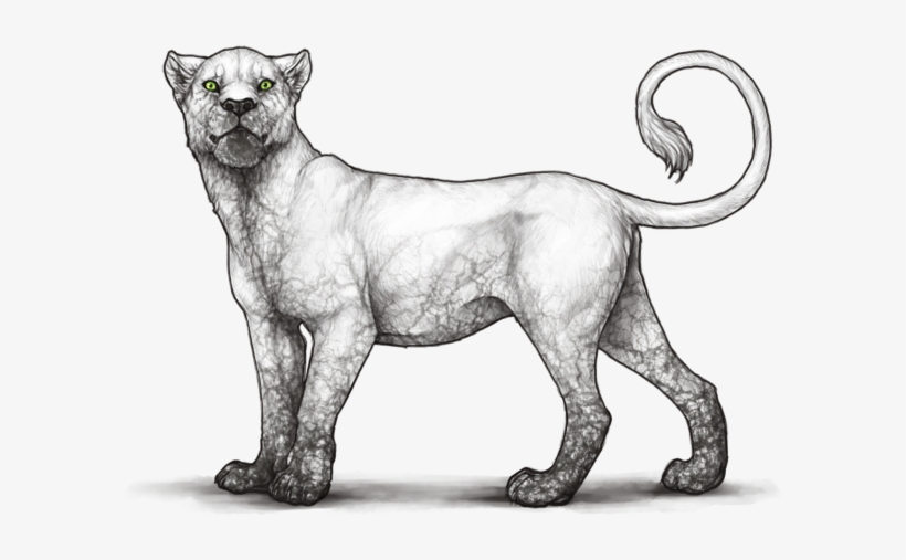 5rlnw5e - Lioden Event Ncl Markings, transparent png download