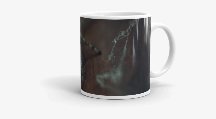 Coffee Cup, transparent png download