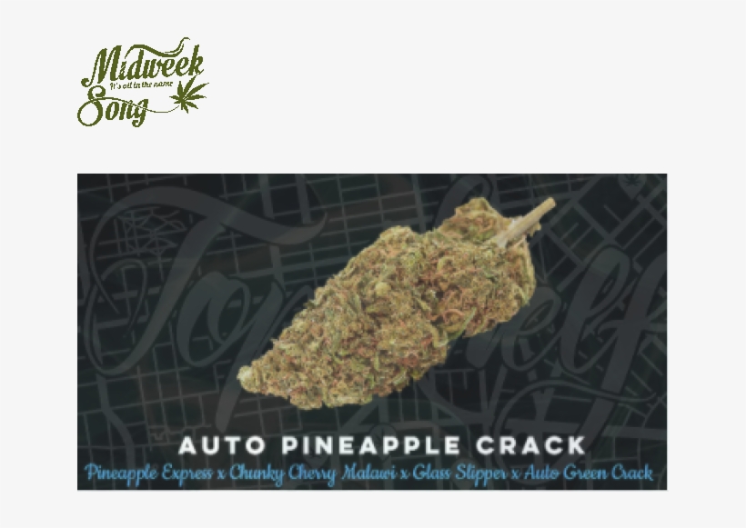 Top Shelf Elite Auto Pineapple Crack Marijuana Seeds - Autoflowering Cannabis, transparent png download