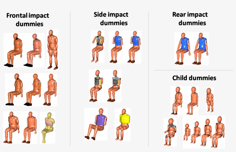 Madymo Dummy Model Library, transparent png download
