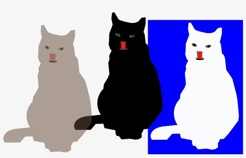 Whiskers Black Cat Kitten Paw - Cat, transparent png download
