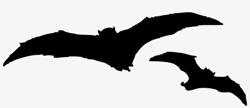Bats - Silhouette, transparent png download