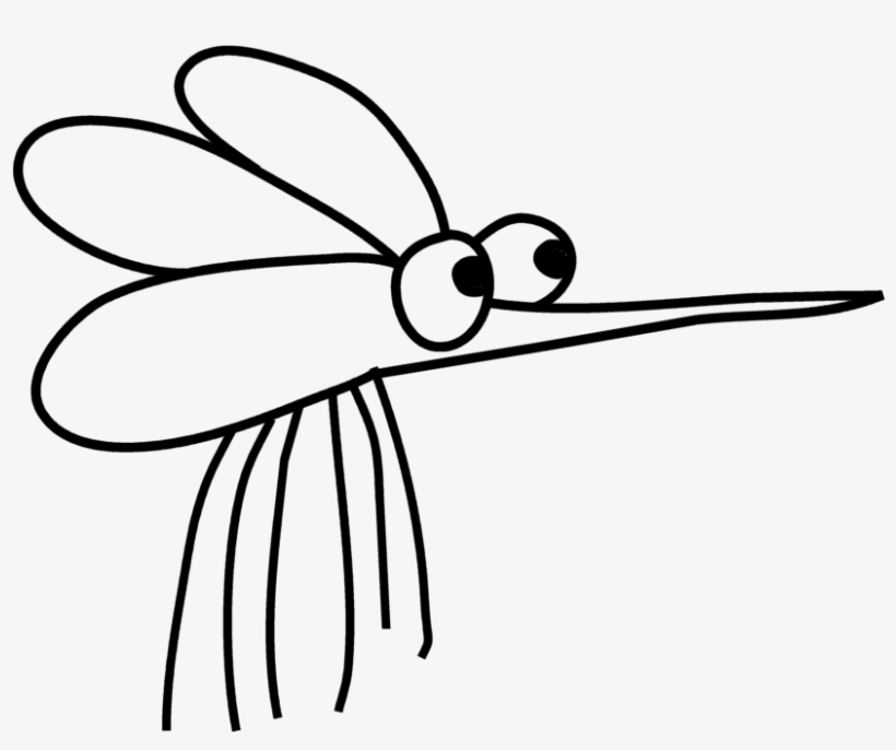 Jpg - Net-winged Insects, transparent png download