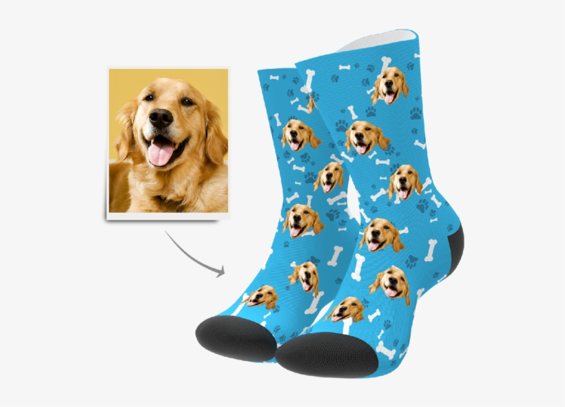 Custom Dog Socks - Toe Socks With Dog Faces, transparent png download