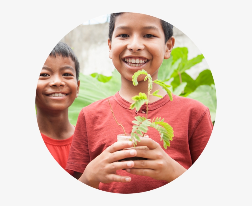 How To Give - Child, transparent png download