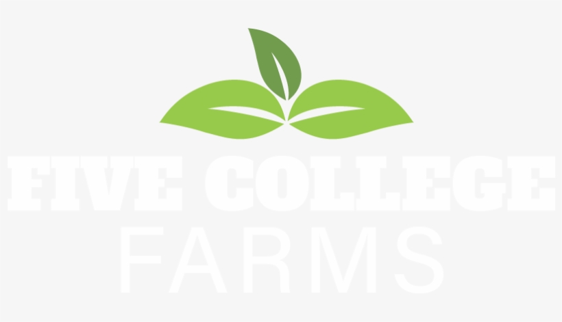 Organic - Fresh - Sustainable - - Graphic Design, transparent png download