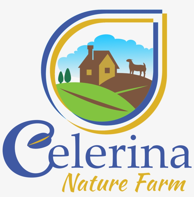 Candid Camera, transparent png download