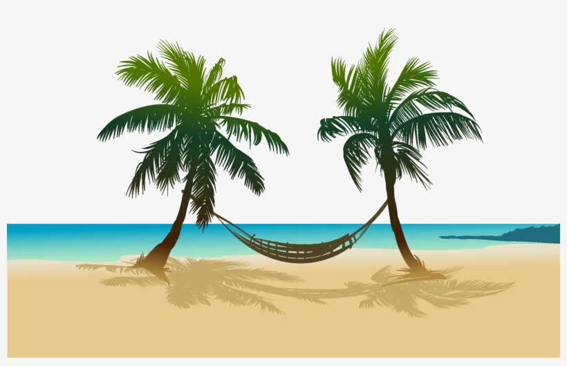 Arecaceae Transprent Png Free Download Plant Leaf - Coconut Tree Hammock, transparent png download