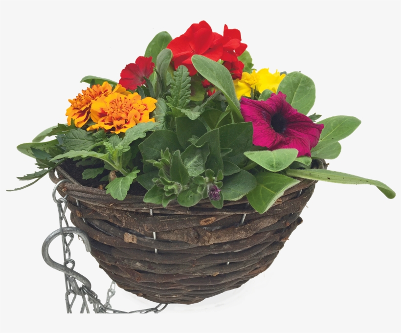 Summer Rattan Hanging Basket - Primrose, transparent png download