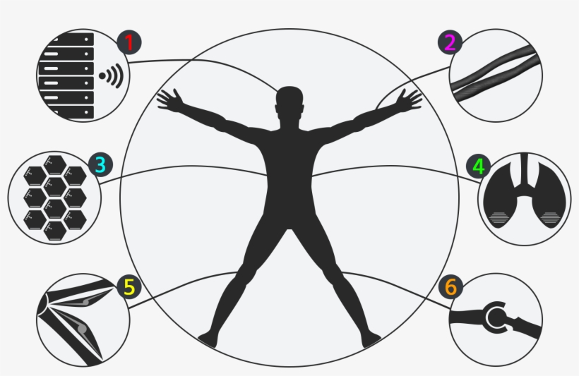 Sharpie's Body Structure - Modern Vitruvian Man Logo, transparent png download