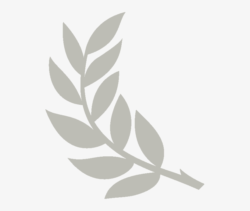 Neohel Publications - Olive Branch Png, transparent png download