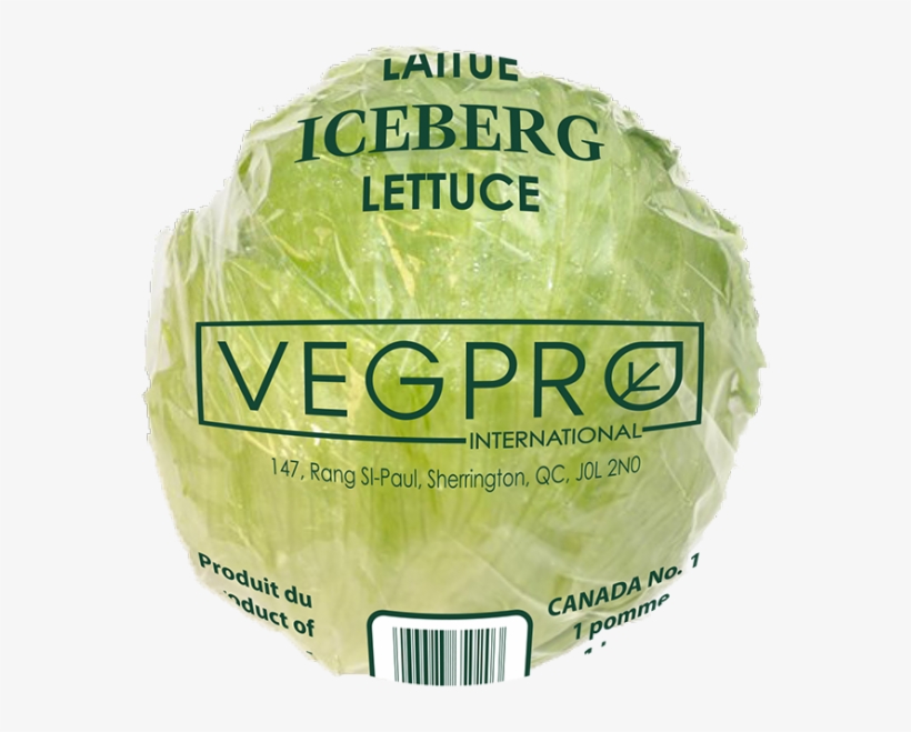 Previous Next - Iceburg Lettuce, transparent png download