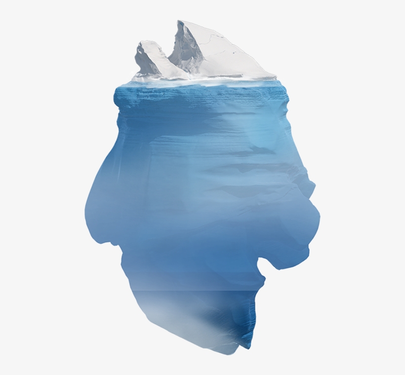 Humpback Whale, transparent png download