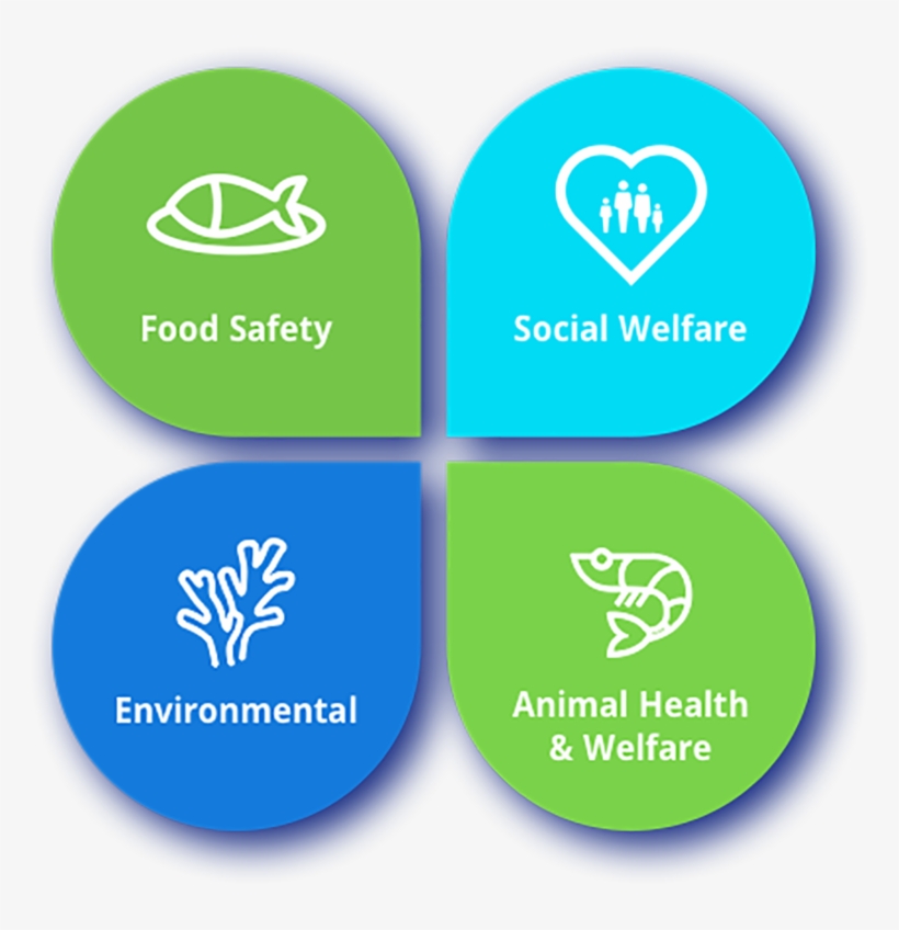 Bap Pillars Of Responsible Aquaculture - Best Management Practices In Aquaculture, transparent png download