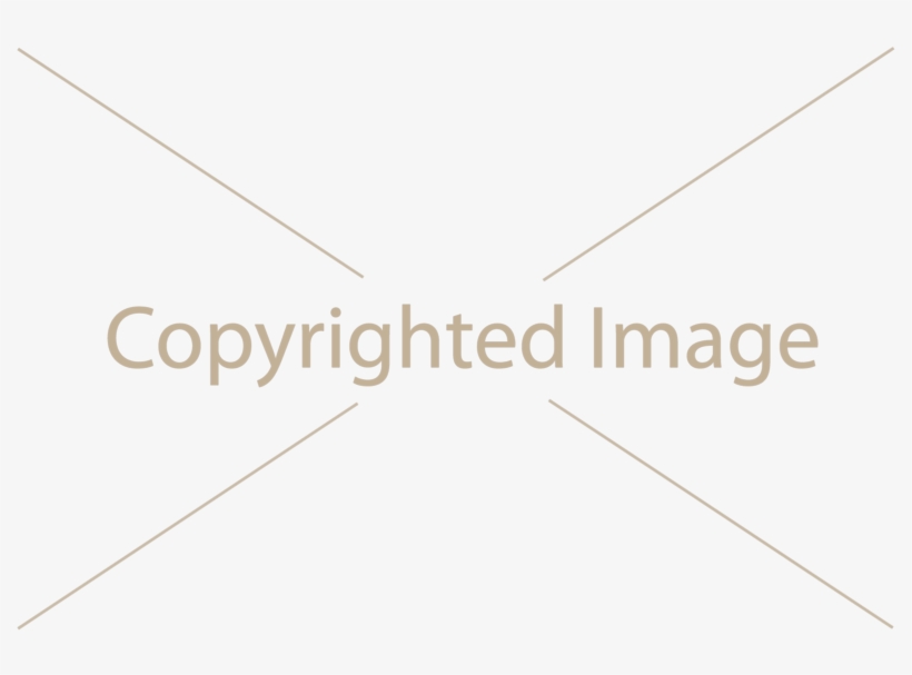 Watermark Для Opencart - Myriad Font, transparent png download