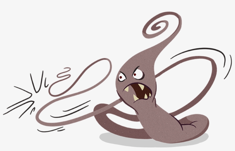 However, A Severe Whipworm Infestation Will Cause Bloody - Whipworm Cartoon, transparent png download