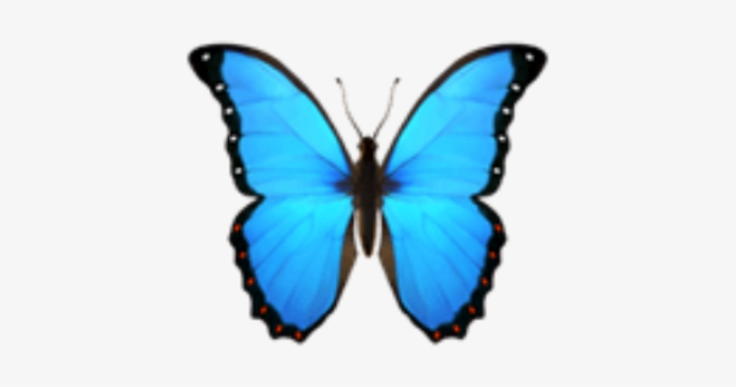 Butterfly Emoji Blue Iphone Imoji Lemoji - Limenitis, transparent png download