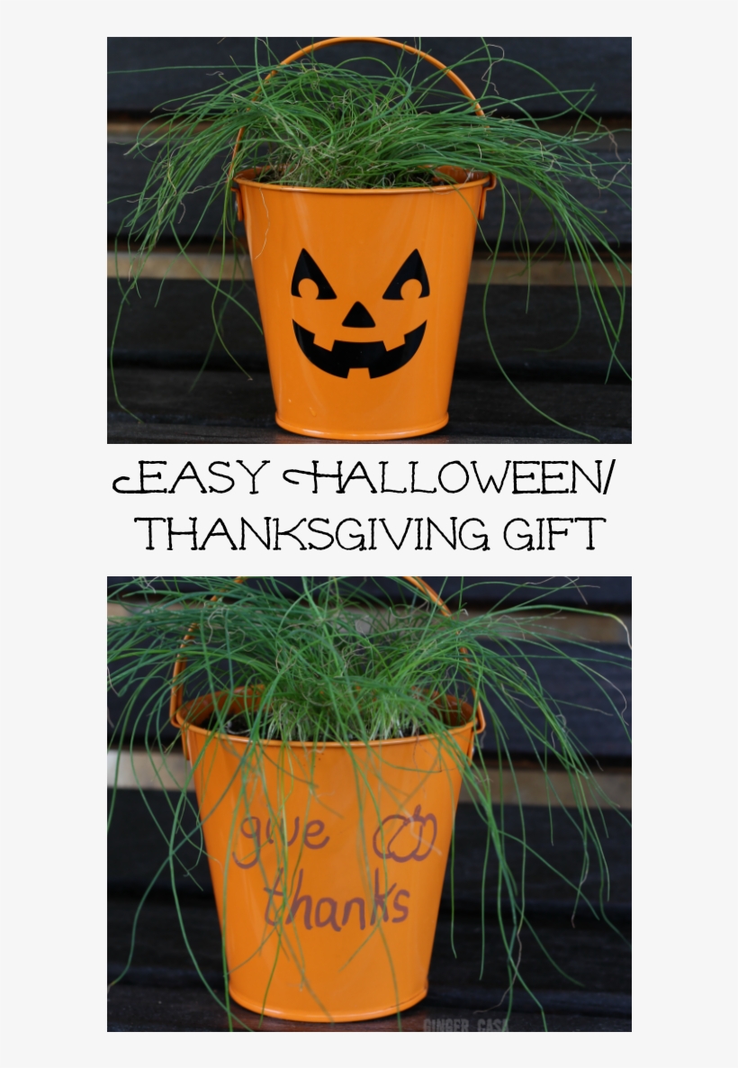 What Is Your Favorite Way To Decorate A Pumpkin - Flowerpot, transparent png download