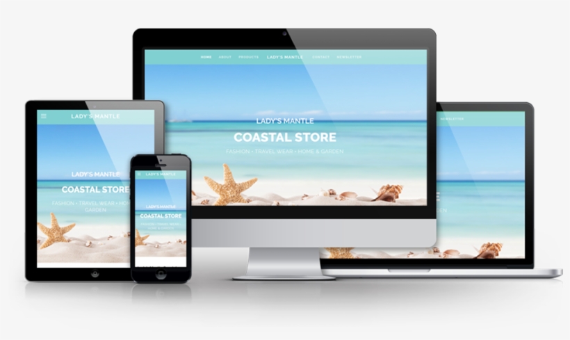 Recent Work - تصميم متجر الكتروني, transparent png download