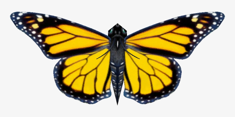 Ambient Monarch Butterfly - Monarch Butterfly, transparent png download