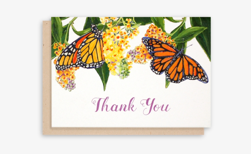 Monarch Butterfly Thank You Cards Butterfly Bush Flowers - Thank You Photo With Butterfly, transparent png download