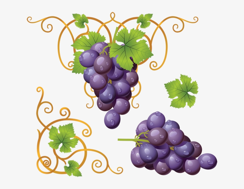 Grapes Fruits Png Transparent Images Clipart Icons - Transparent Grapes Clipart Png, transparent png download