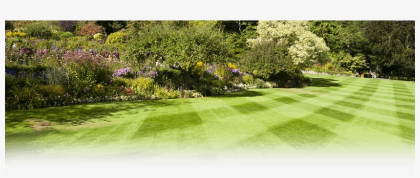 Commercial Lawn Care - North Carolina Landscaping, transparent png download