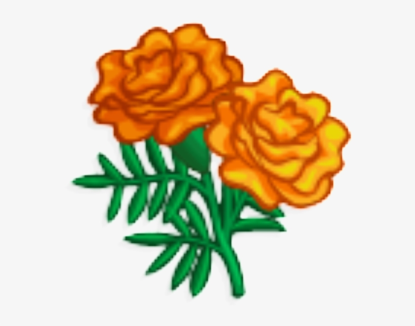 Marigolds Png Transparent - Marigold Clipart, transparent png download