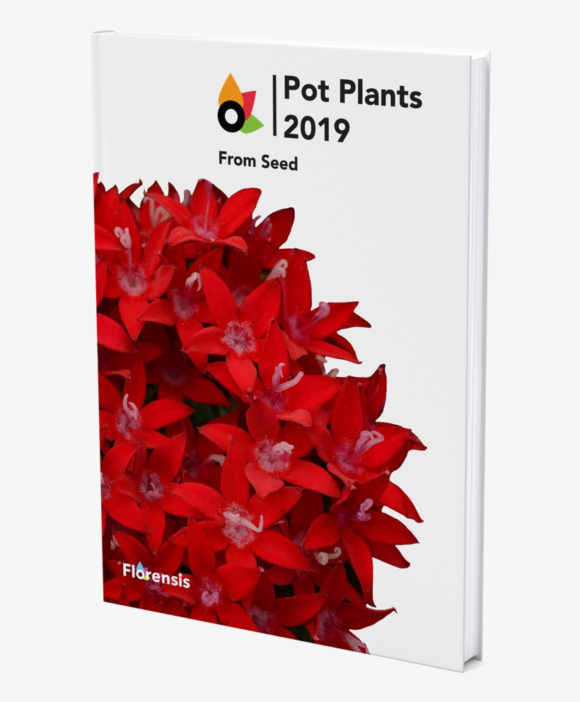 View Catalogue Flaxleaved Tulip PNG Image Transparent PNG Free