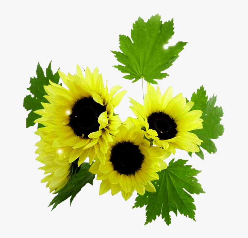 Обсуждение На Liveinternet - Gif, transparent png download