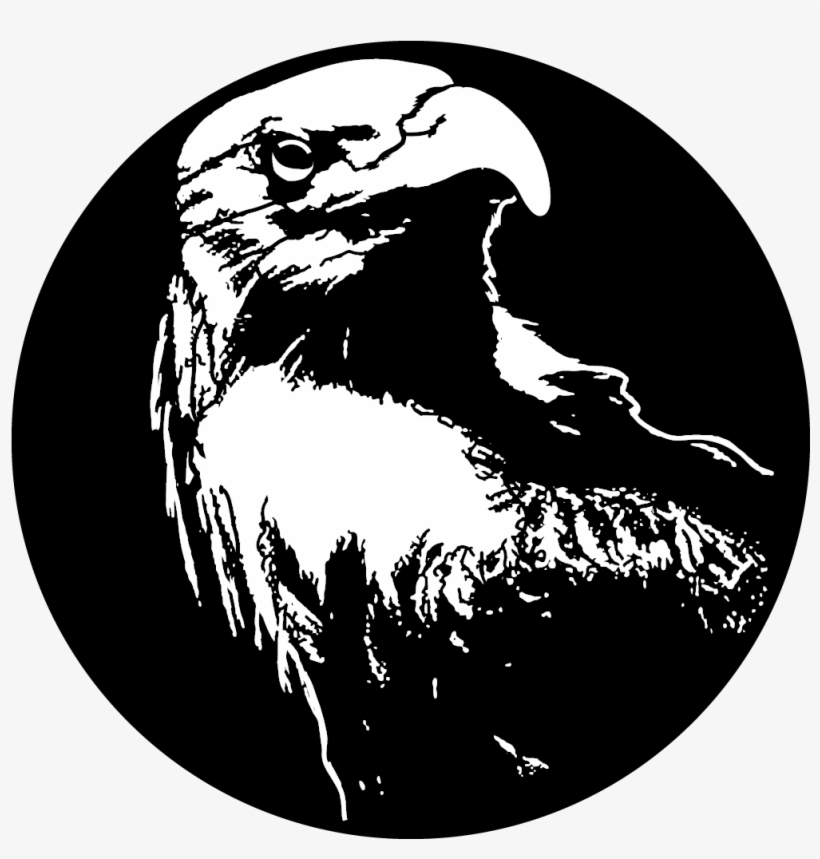 Apollo Design 1135 Bald Eagle Steel Pattern - Golden Eagle, transparent png download