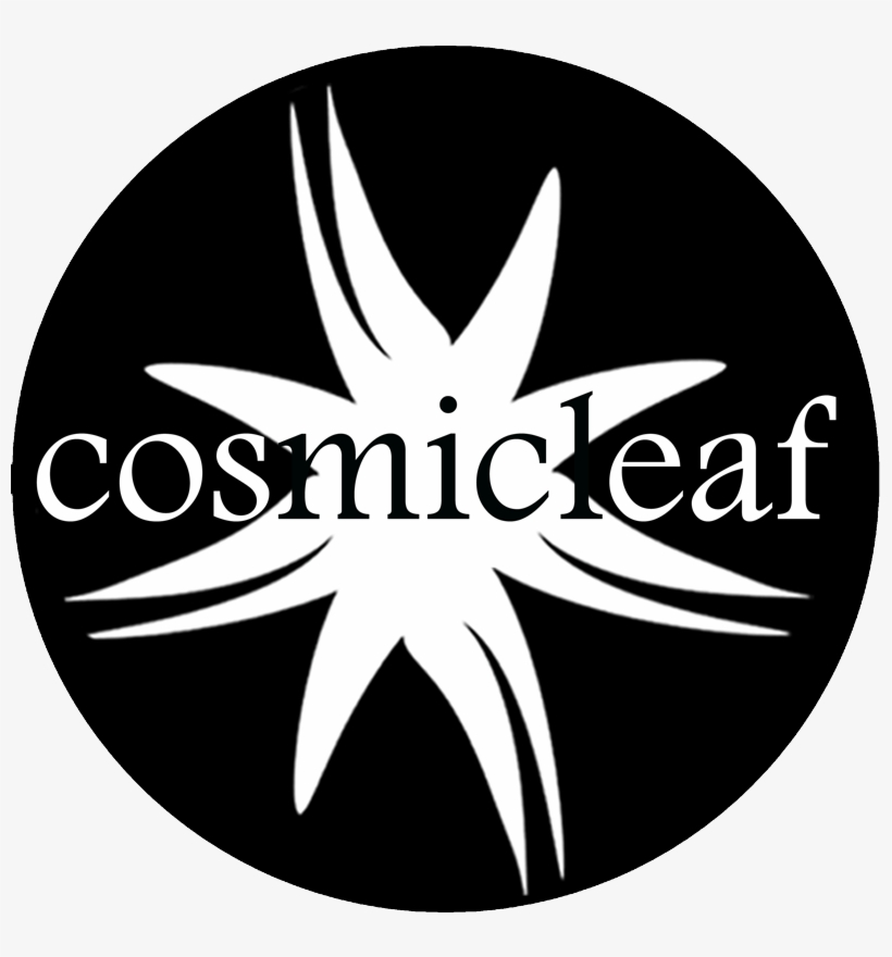 Nick Miamis Gives Exclusive To Mushroom Newsletter - Qalam, transparent png download