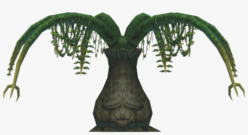Familytree Front - Tree, transparent png download