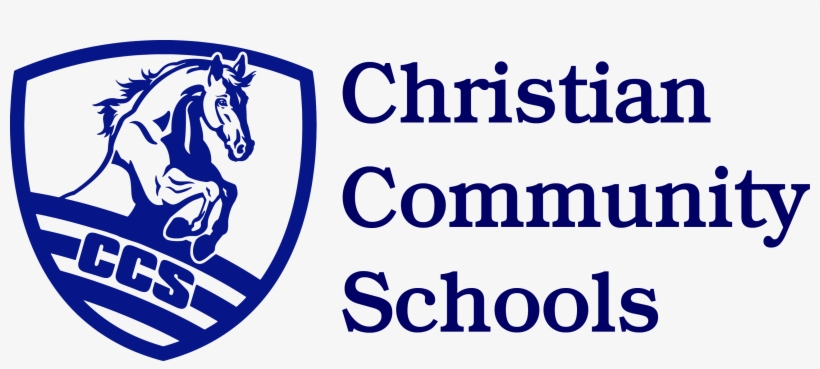 About - Stallion, transparent png download