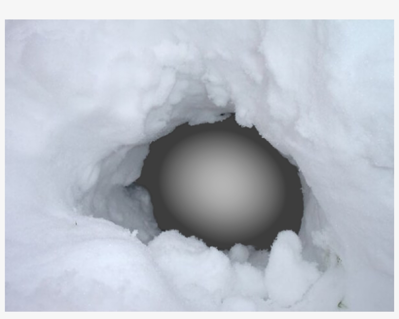 Copy Discord Cmd - Cats Outside In Winter No Snow, transparent png download