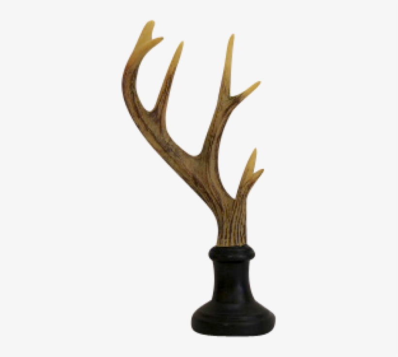 More Views - Antler, transparent png download