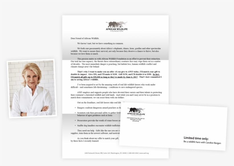 Explore The Site And Take The Quiz Yourself - Brochure, transparent png download