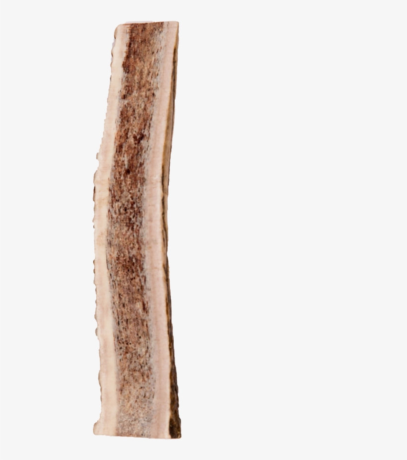 Split Elk Antler - Wood, transparent png download